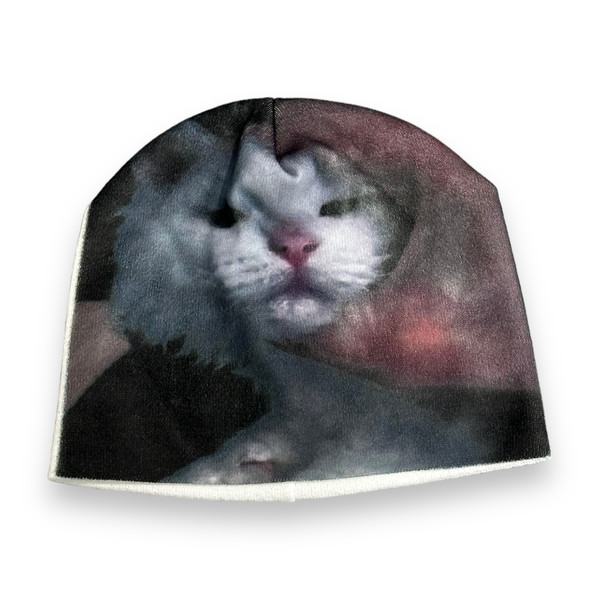 CAT IN THE HAT