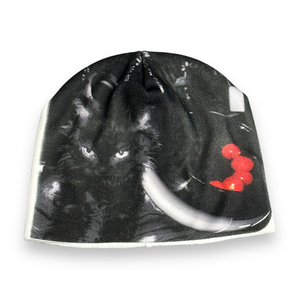 CAT IN THE HAT