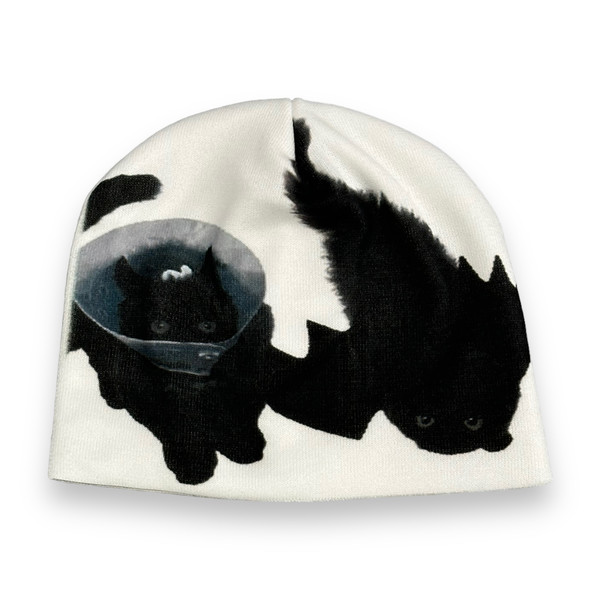 CAT IN THE HAT